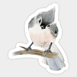 Titmouse Bird Watercolor Sticker